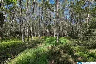 Drake Dr, Penn Forrest, PA 18229 - Photo 4