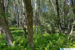 Drake Dr, Penn Forrest, PA 18229 - Photo 2