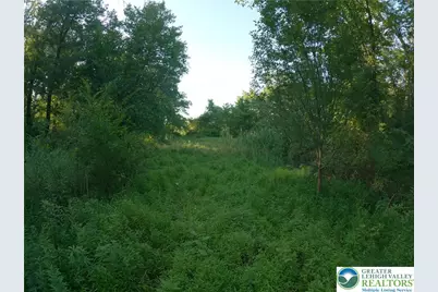 Weaver Lane, Lower Saucon Township, PA 18055 - Photo 4