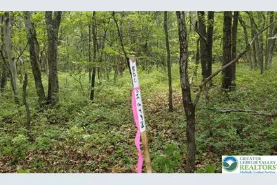 0 Cold Spring Drive, Penn Forrest, PA 18229 - Photo 6