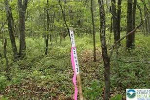 0 Cold Spring Dr, Penn Forrest, PA 18229 - Photo 6