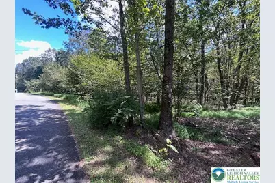 Lot 20Alas Piney Woods Drive, Penn Forrest, PA 18229 - Photo 4