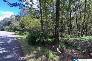 Lot 20Alas Piney Woods Dr, Penn Forrest, PA 18229 - Photo 4