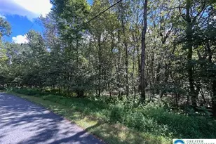 Lot 20Alas Piney Woods Dr, Penn Forrest, PA 18229 - Photo 2