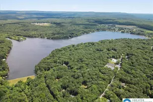 Lot 20Alas Piney Woods Dr, Penn Forrest, PA 18229 - Photo 10