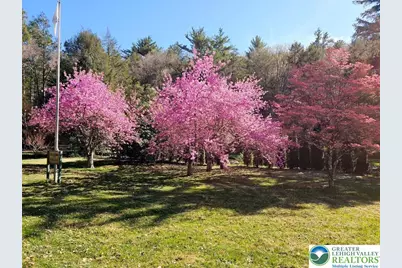 3585 Fairyland Road, Franklin Twp, PA 18235 - Photo 92