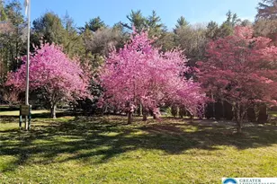 3585 Fairyland Rd, Franklin Twp, PA 18235 - Photo 92