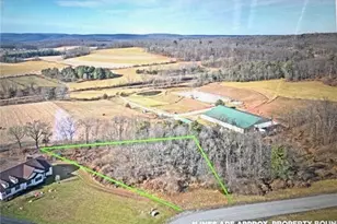 Ricks Rd, East Brunswick Twp, PA 17960 - Photo 6