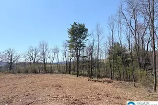 Ricks Rd, East Brunswick Twp, PA 17960 - Photo 2