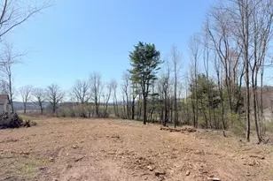 Ricks Rd, East Brunswick Twp, PA 17960 - Photo 4