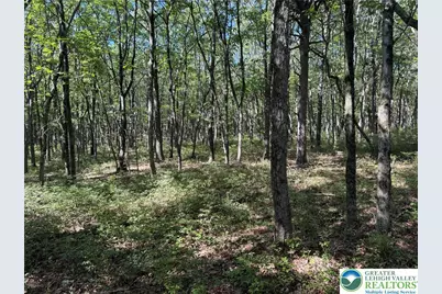 14 Berry Run Drive, Penn Forrest, PA 18229 - Photo 4