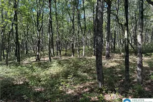 14 Berry Run Dr, Penn Forrest, PA 18229 - Photo 4