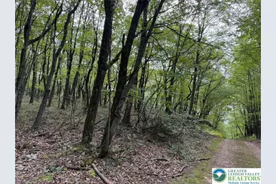 14 Berry Run Drive, Penn Forrest, PA 18229 - Photo 6