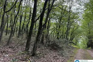 14 Berry Run Dr, Penn Forrest, PA 18229 - Photo 6