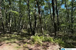 14 Berry Run Dr, Penn Forrest, PA 18229 - Photo 2