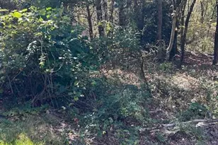 Lot 731 Yellow Run Rd, Penn Forrest, PA 18229 - Photo 2