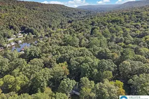 137 Chicola Lake-South Trail, Ross Twp, PA 18353 - Photo 60