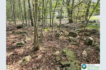 7036 Vista Drive, Coolbaugh Twp, PA 18466 - Photo 4