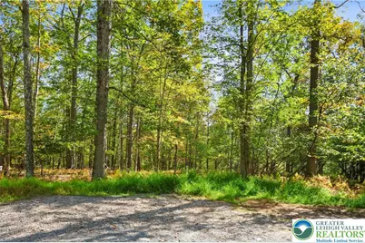 Spring Run Lane, Price Twp, PA 18326 - Photo 2