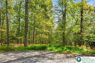 Spring Run Ln, Price Twp, PA 18326 - Photo 2