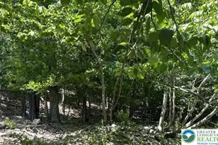 Sparrow Rd, Lehman Twp, PA 18324 - Photo 20