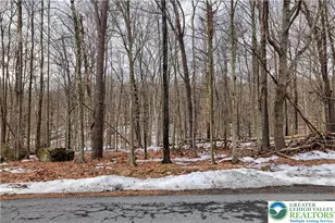 Eagle Path, Lehman Twp, PA 18324 - Photo 8