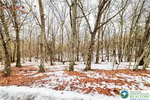 Warbler Ct, Lehman Twp, PA 18324 - Photo 6