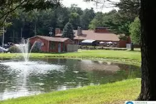 Warbler Ct, Lehman Twp, PA 18324 - Photo 14