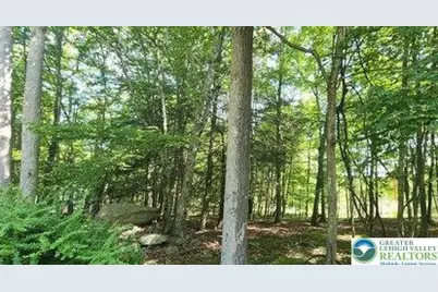 Warbler Court, Lehman Twp, PA 18324 - Photo 12