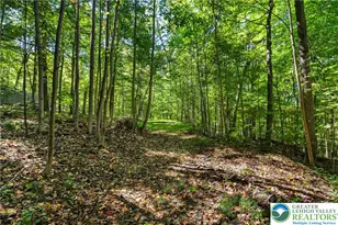 93 Coffeetown Rd, Williams Township, PA 18042 - Photo 2