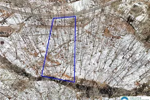 Pocono Mountain Lake Dr, Lehman Twp, PA 18324 - Photo 8