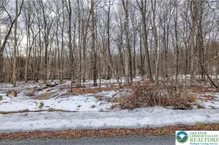 Pocono Mountain Lake Dr, Lehman Twp, PA 18324 - Photo 4