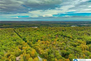 87 Delbert Dr, Covington Township, PA 18424 - Photo 82