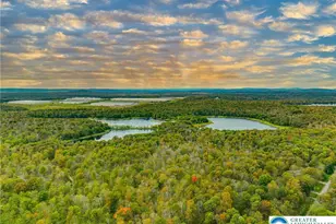 87 Delbert Dr, Covington Township, PA 18424 - Photo 80