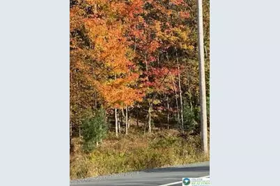 Pocono Mountain Lake Drive, Lehman Twp, PA 18324 - Photo 2