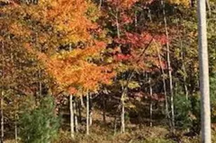 Pocono Mountain Lake Dr, Lehman Twp, PA 18324 - Photo 2