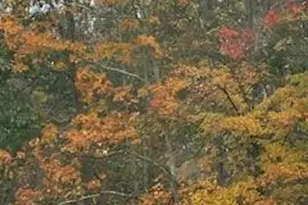 Pocono Mountain Lake Dr, Lehman Twp, PA 18324 - Photo 4