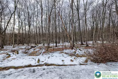 Pocono Mountain Lake Drive, Lehman Twp, PA 18324 - Photo 12