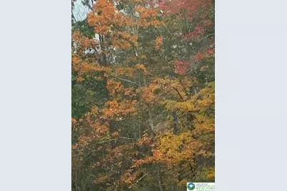 Pocono Mountain Lake Drive, Lehman Twp, PA 18324 - Photo 2