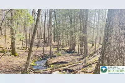 Tinkwig Drive, Hawley, PA 18428 - Photo 10