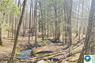 Tinkwig Dr, Hawley, PA 18428 - Photo 10