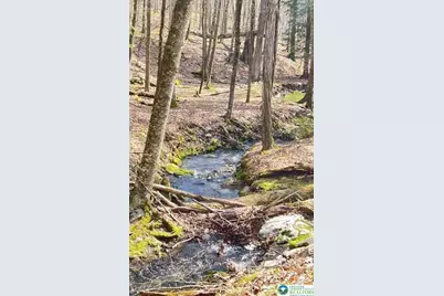 Tinkwig Drive, Hawley, PA 18428 - Photo 12