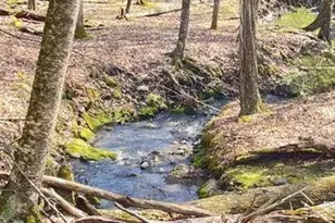 Tinkwig Dr, Hawley, PA 18428 - Photo 12