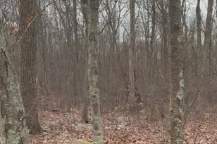 191 Opal Way, Middle Smithfield, PA 18302 - Photo 2