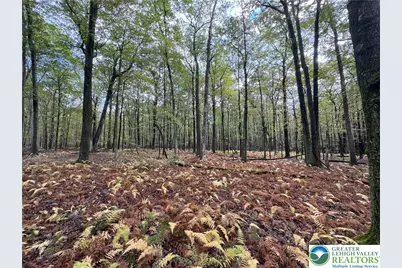 N Benders Drive, Moore Township, PA 18014 - Photo 4