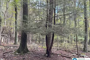 N Benders Dr, Moore Township, PA 18014 - Photo 8