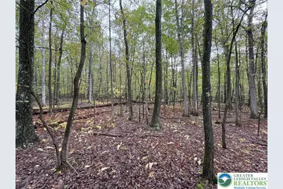 N Benders Drive, Moore Township, PA 18014 - Photo 6