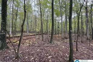 N Benders Dr, Moore Township, PA 18014 - Photo 6