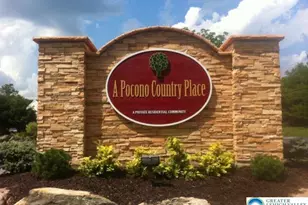 Lot 247 Lakeview Dr, Coolbaugh Twp, PA 18466 - Photo 20