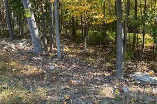 7893 Leaser Rd, Lynn Township, PA 19529 - Photo 4